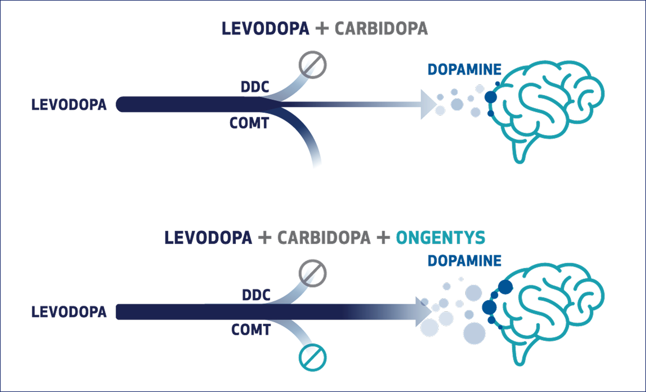Levopoda + CArbidopa Image