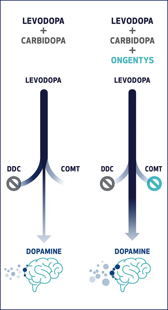 Levopoda + CArbidopa Image
